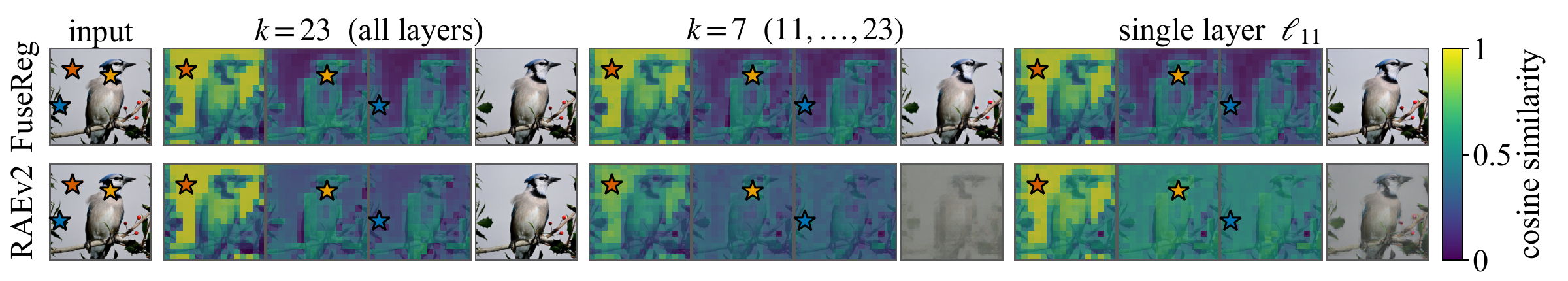 Cosine-similarity maps of decoder intermediate-block features for FuseReg and RAEv2 under three layer fusions