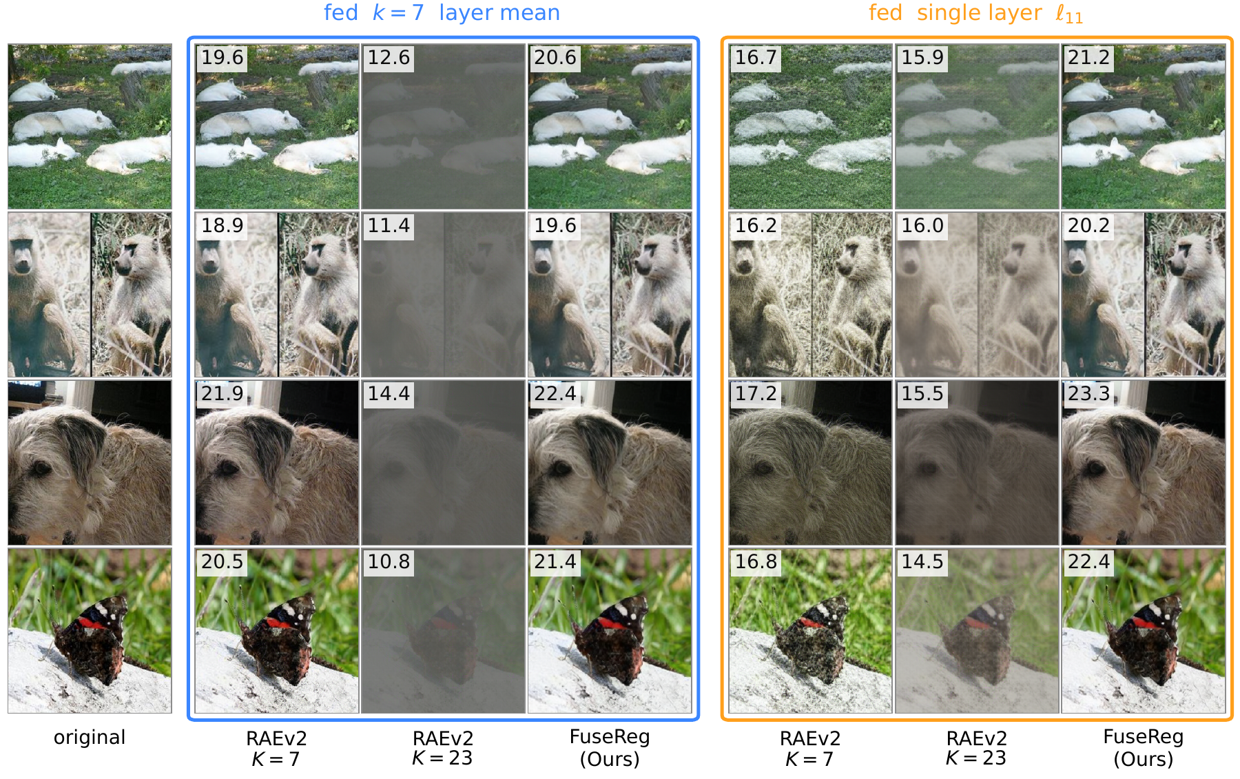 Reconstructions from the last seven layers and from layer 11 for RAEv2 and FuseReg decoders